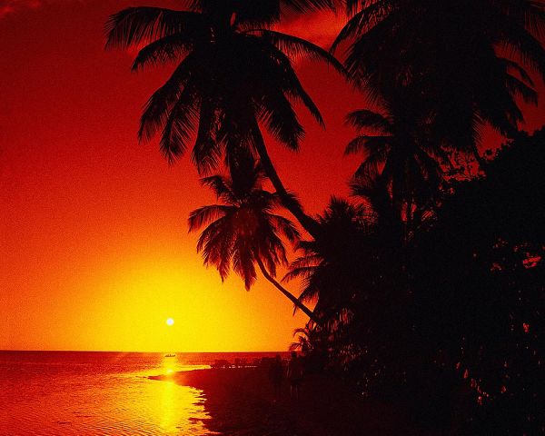 Алина Алина