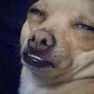 Катя Галеева