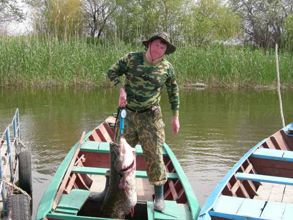 Дмитрий Иванов