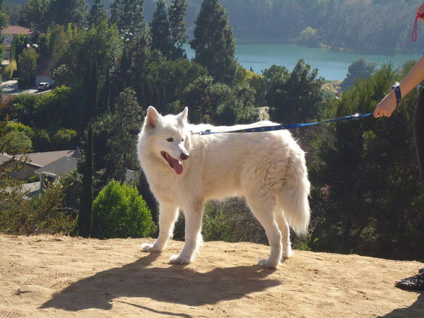 Галина Кульнева