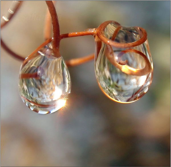 Михаил Смирнов