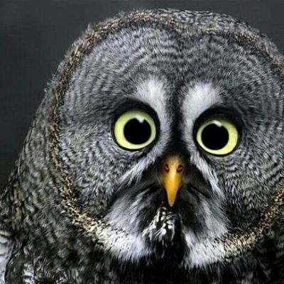 Александр Лавров