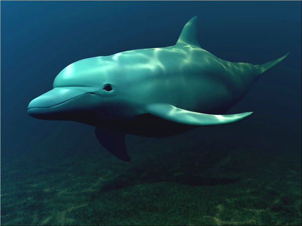 Аскар Куаналиев