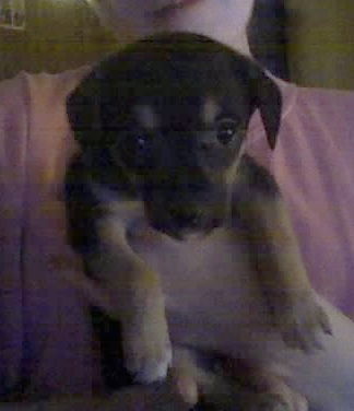 Екатерина Попкова