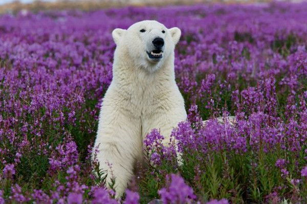 Иван Иванов