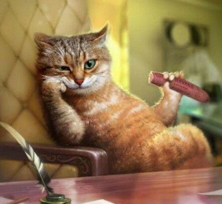 Антон Морозов