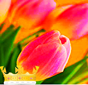 Виктория Потапова