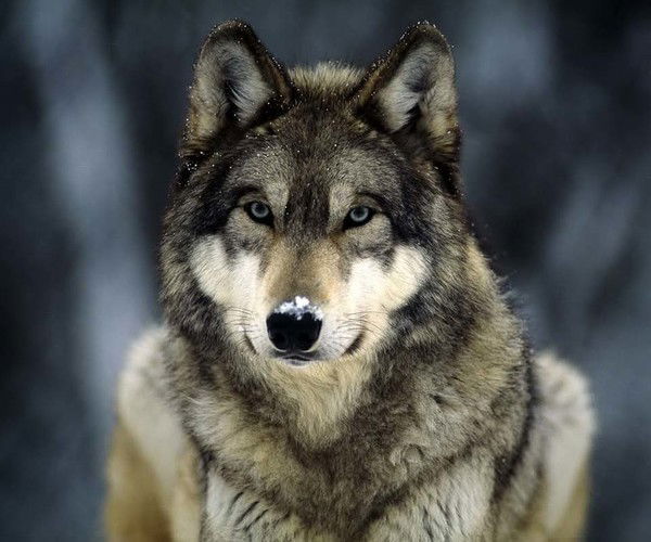 Юрий Анатольевич