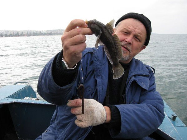 Глеб Боровиков