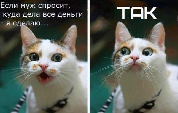 Альбина Ловыгина