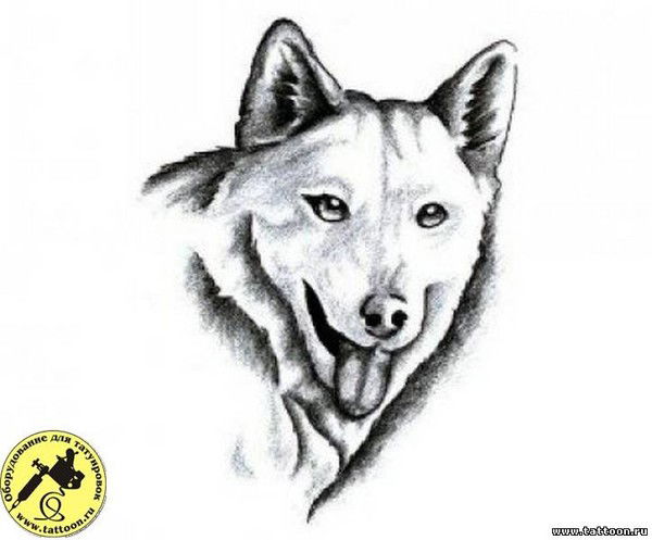 Еркин Еркин