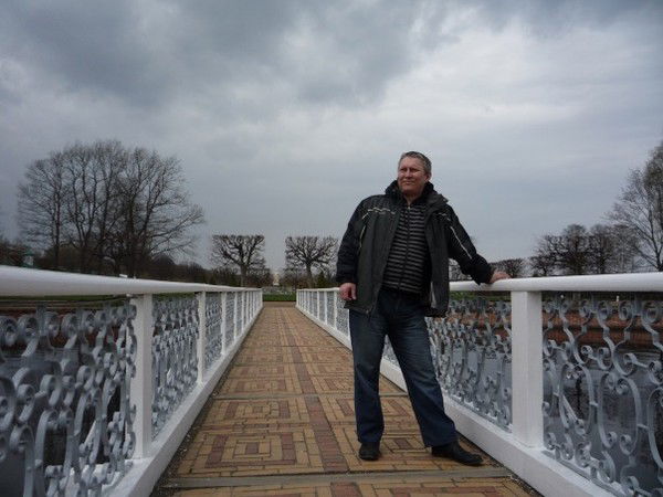 Москит В Желе