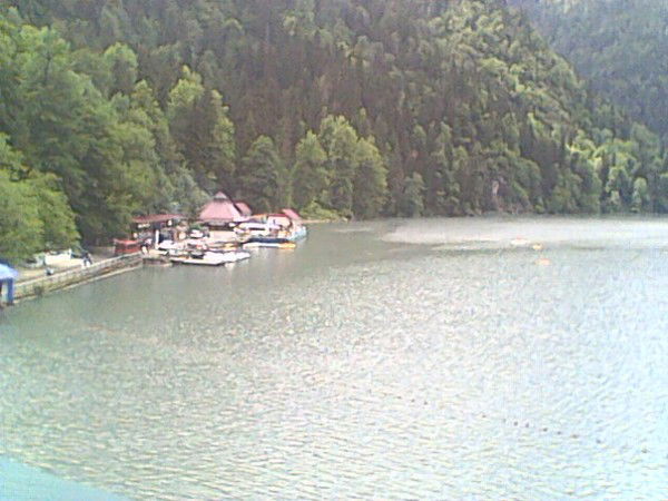 Светлана Венжега