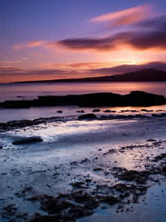 Алиса Юркова