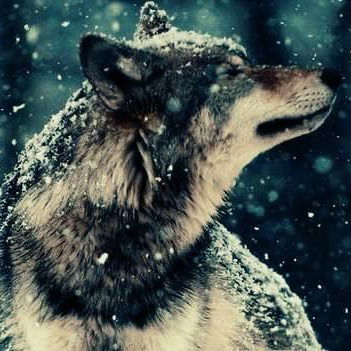 Полинка Ник