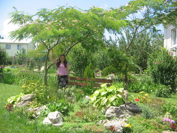 Анжела Шляйхерт