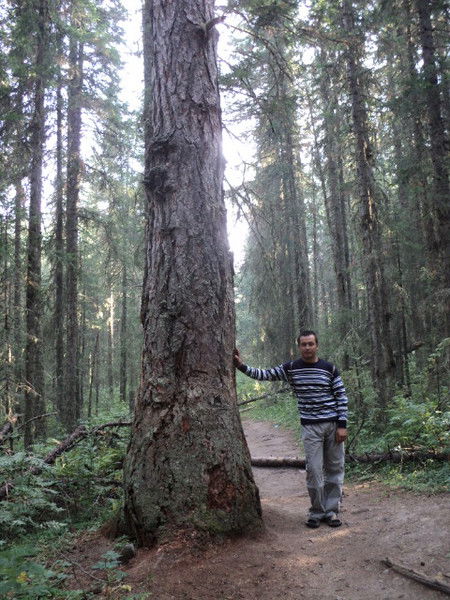 Азат Габитов