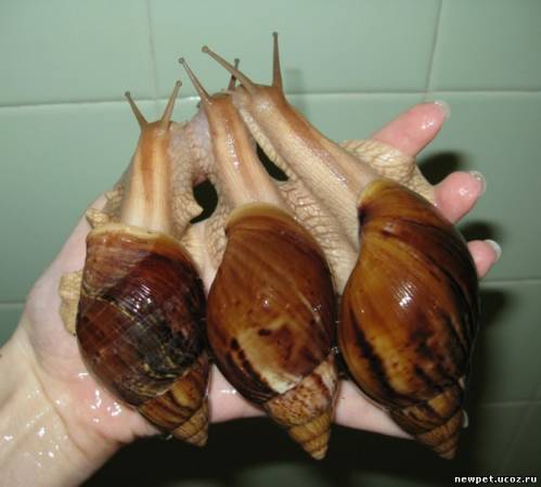 Дарья Кожевникова