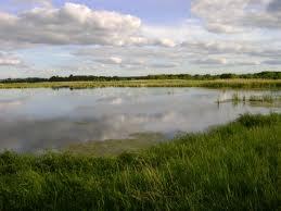 Малафеев Игорь