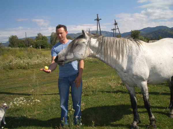Дмитрий Петров