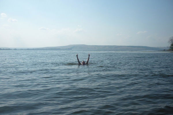 Дмитрий Анисимов