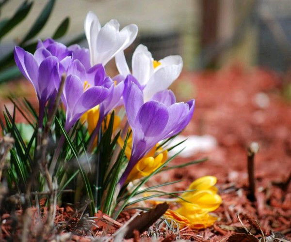 Екатерина Матвеева