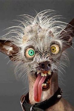 Светлана Касаткина