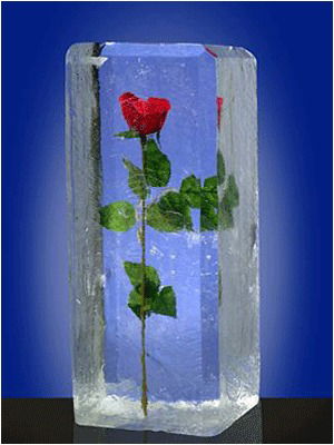 Ольга Земцова