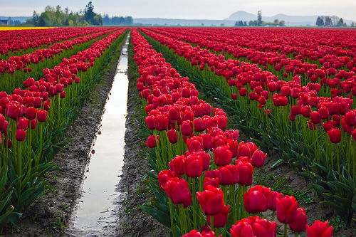 Татьяна Бессонова