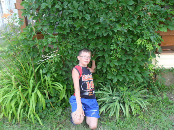 Максим Горшенин