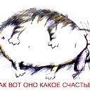 Павел Орлов