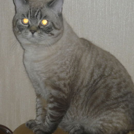 Юрий Черный