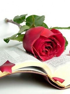 Лейла Алиева