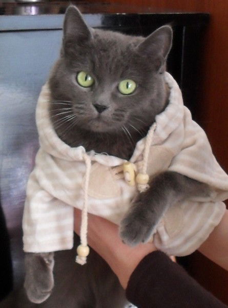 Галина Крестинина