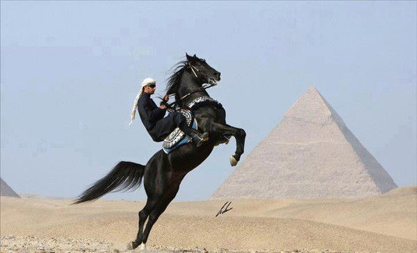 Самат Шарифуллин