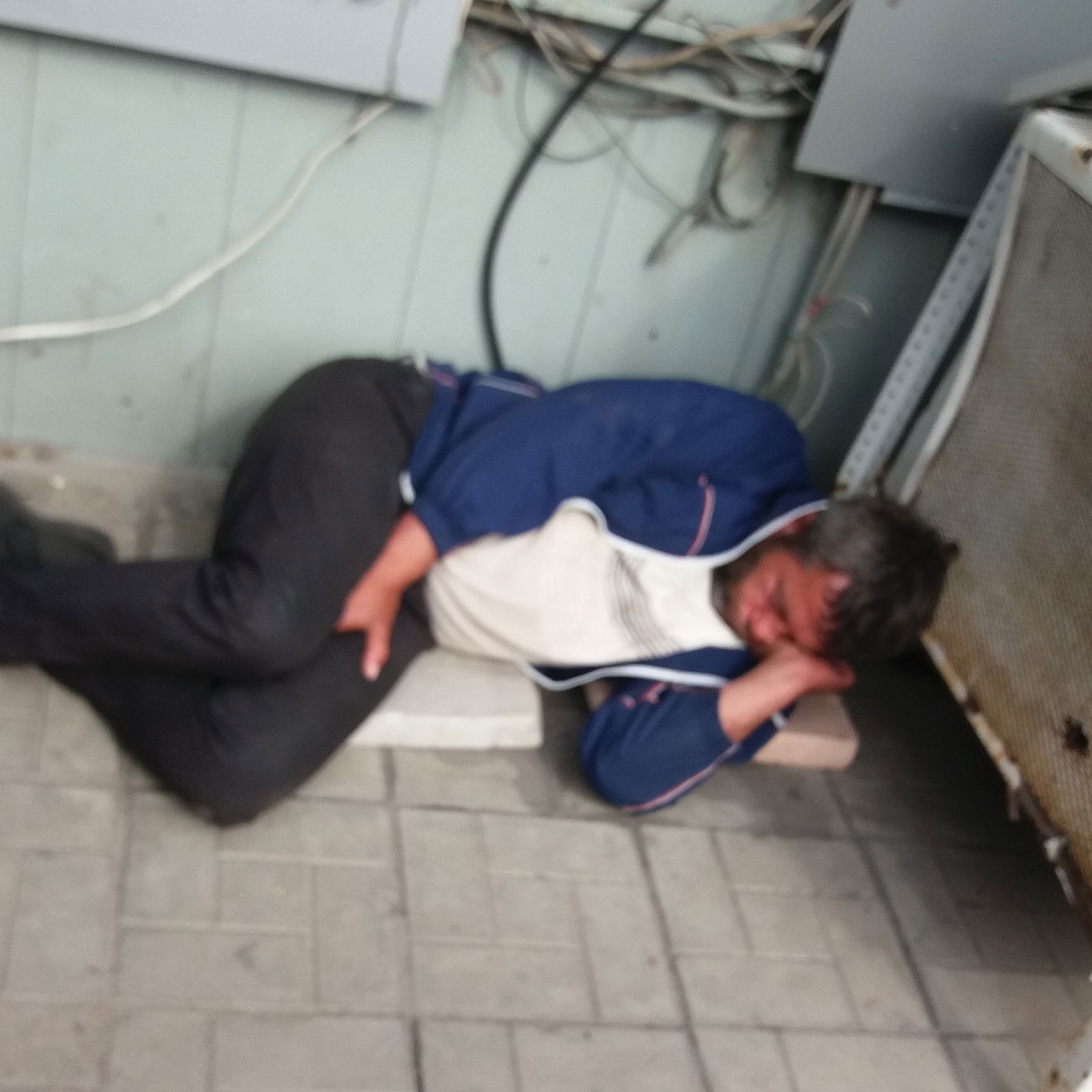 Александр Сухих