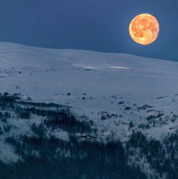 Алексей Ржавский