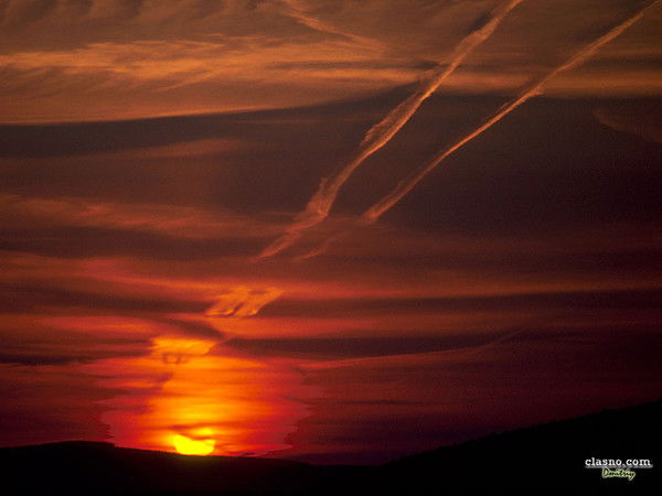 Вера Архипова