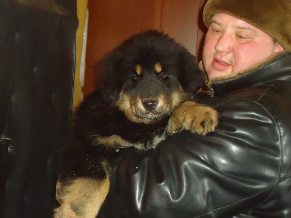 Вячеслав Задорожин