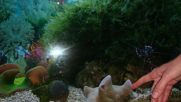 Лариса Пелевина