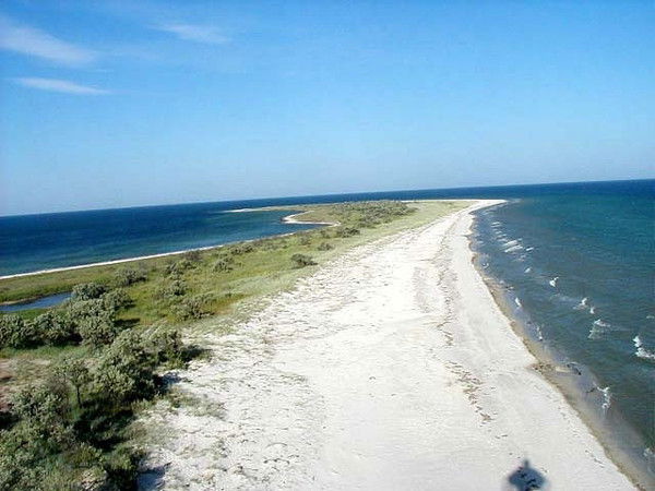 Наталья Шулина