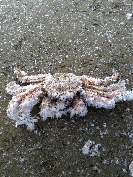 Леонид Мартыненко