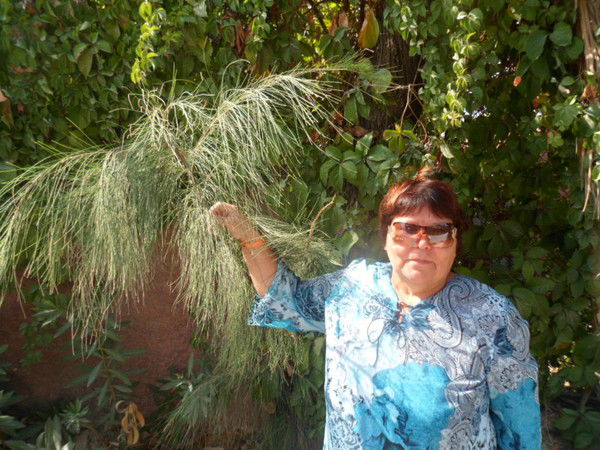 Татьяна Заровнятных