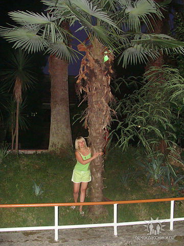 Светлана Тихомир