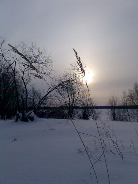 Антон Сидоров