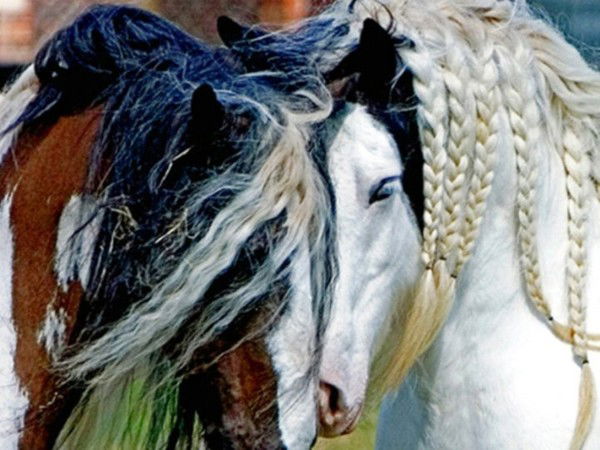 Полина Тарасова