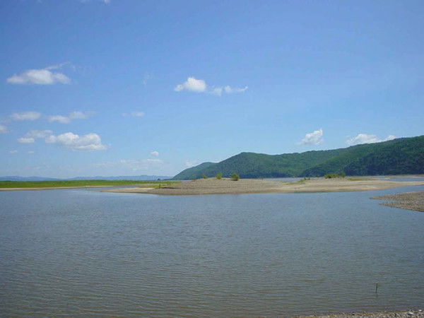 Надежда Михайлова