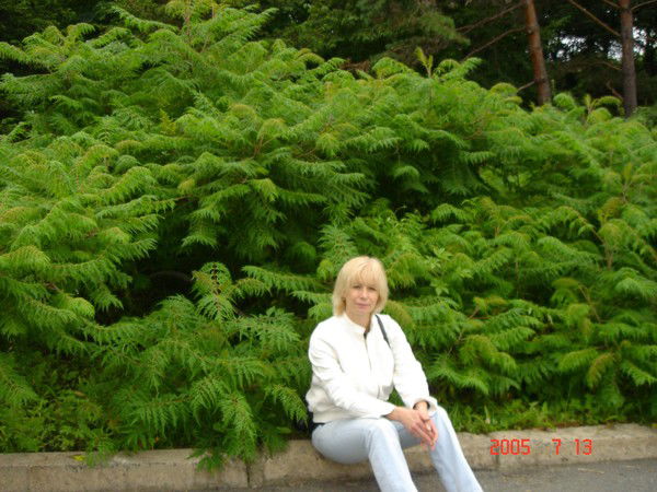 Галина Соловьева