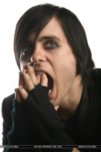 Г-Г Дими4 Миллер