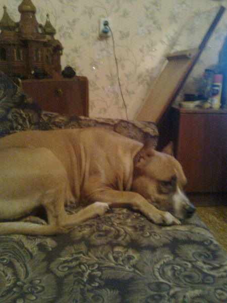 Артемова Вера